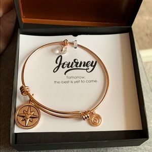 Nwot Alex and ani bracelet